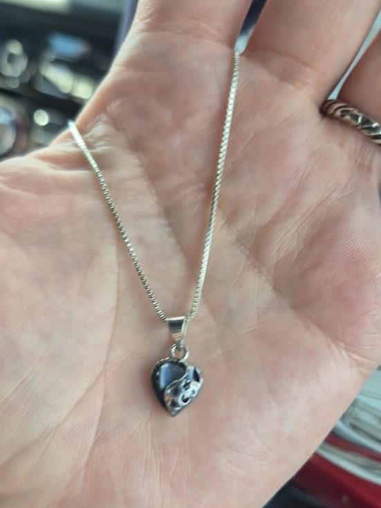 Jewelry - Sterling Silver Heart Pendant Necklace in Black